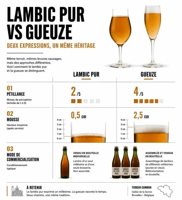 Infographie comparative gueuze lambic vs lambic pur